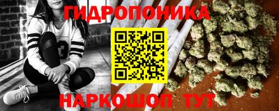 индика Партизанск