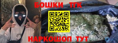 индика Партизанск