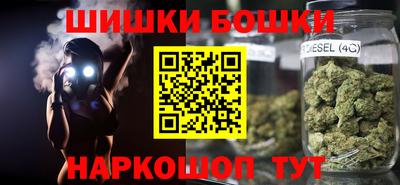 индика Партизанск