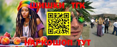 индика Партизанск