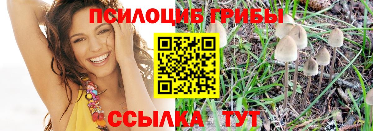 Шарыпово  Галлюциногенные грибы Magic Shrooms  Вход с VPN 