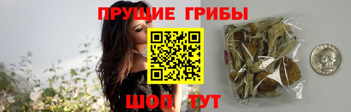 Марихуана  Alpha-PVP СОЛЬ кристаллы  Кокаин  Шарыпово  Гашиш  МЕФ кристаллы  Гашиш  Вход с VPN 